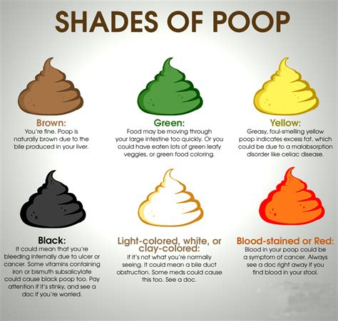 What your poop color can say about your health